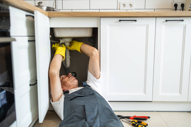 Best Toilet Repair Services  in Paradise Valley, AZ
