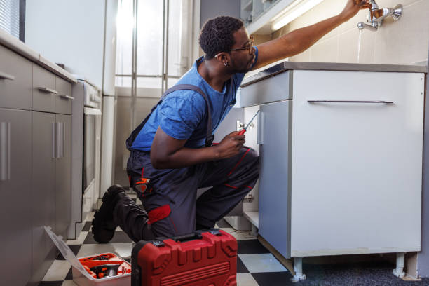 Best Commercial Plumbing Services  in Paradise Valley, AZ